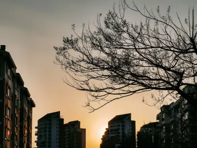 MegaReel Kasino Apl Mudah Alih